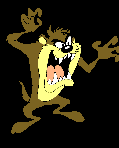 Taz
